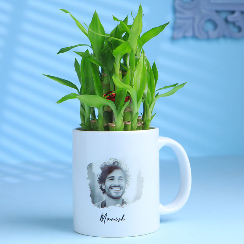 Bamboo Plant In A Personalised Mug For Him