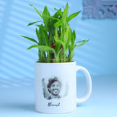 Bamboo Plant In A Personalised Mug For Him