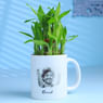 Bamboo Plant In A Personalised Mug For Him