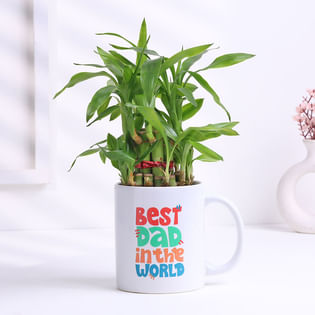 Bamboo Plant In Best Dad Ceramic Mug