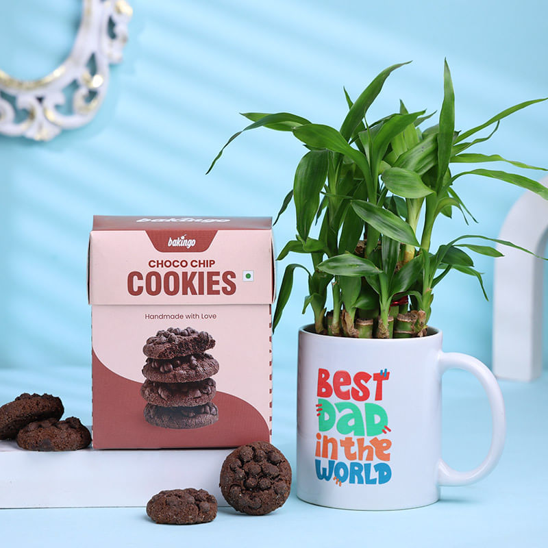 Bamboo Plant In Best Dad Mug With Cookies