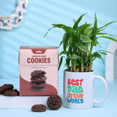 Bamboo Plant In Best Dad Mug With Cookies