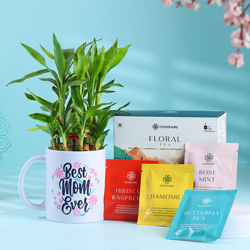 Bamboo Plant in Best Mom Ever Mug N Tea