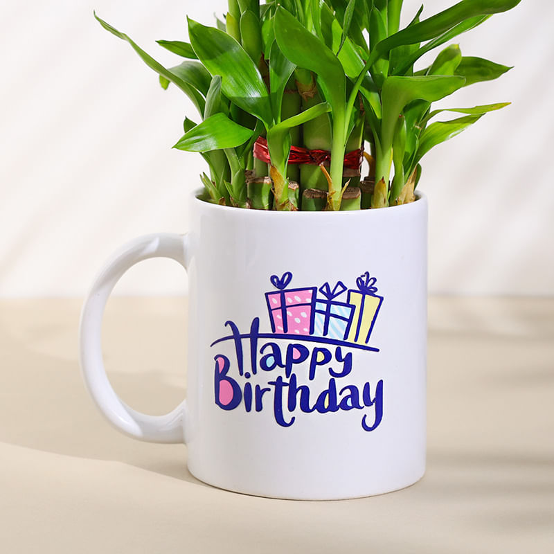 Bamboo Plant In Birthday Cheer Mug