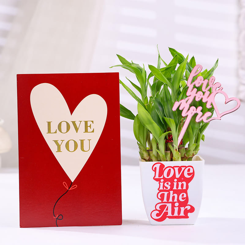 Bamboo Plant In Blossom Pot With Love You Card-picture-15