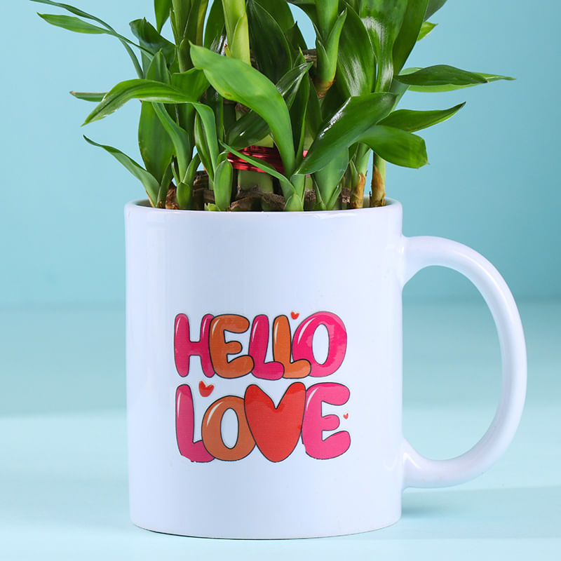 Bamboo Plant In Hello Love Mug