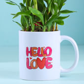Bamboo Plant In Hello Love Mug