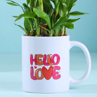 Bamboo Plant In Hello Love Mug