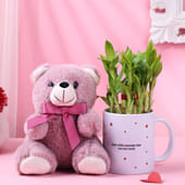 Bamboo Plant In Love Mug N Teddy Combo