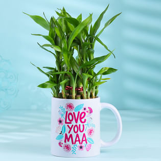 Bamboo Plant In Love You Maa Mug