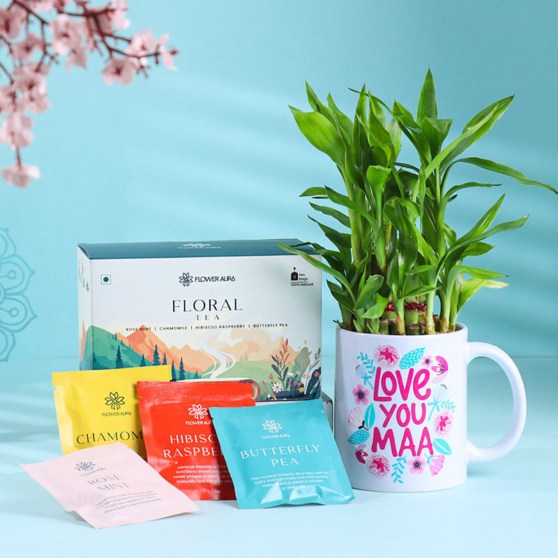 Bamboo Plant in Love You Maa Mug N Tea