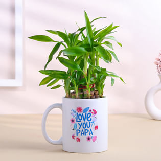 Bamboo Plant In Love You Papa Ceramic Mug