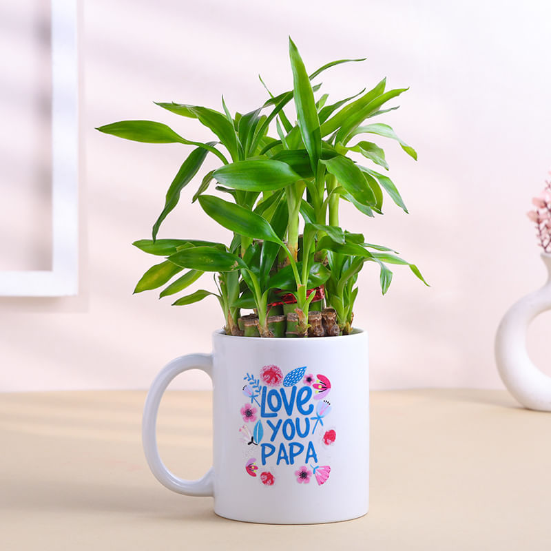Product Image Video
