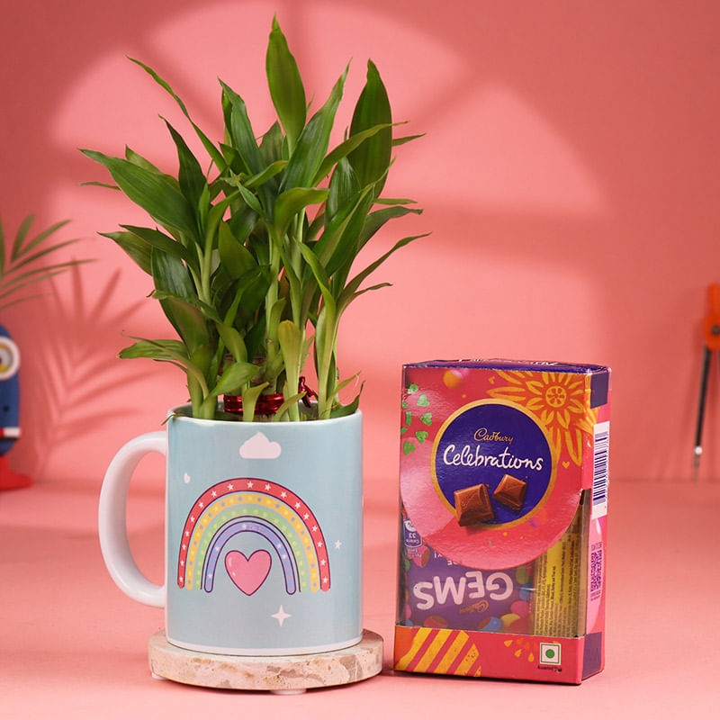 Bamboo Plant In Rainbow Mug N Chocolates Combo