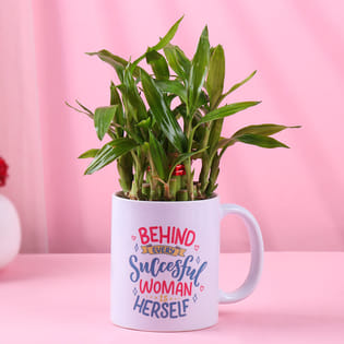 Bamboo Plant In Successful Woman Mug