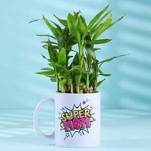 Bamboo Plant In Super Mom Mug