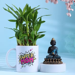 Bamboo Plant In Super Mom Mug With Buddha