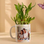 Bamboo Plant In White Mug For Daughter