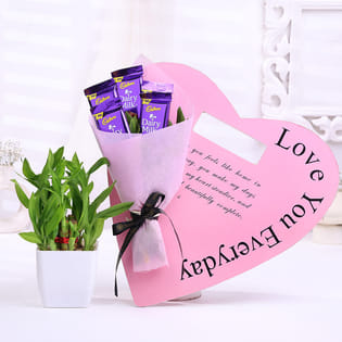 Bamboo Plant In White Pot With Chocolates