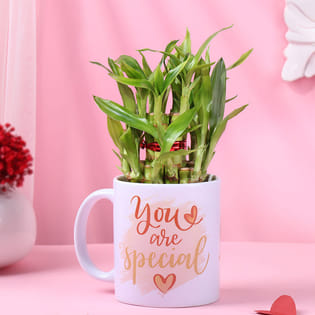 Bamboo Plant In You Are Special Photo Mug