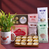 Bamboo Plant N Diwali Treats Hamper