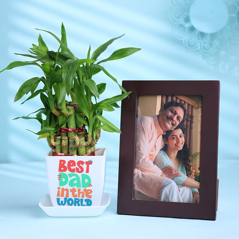 Bamboo Plant N Frame Combo for Dad