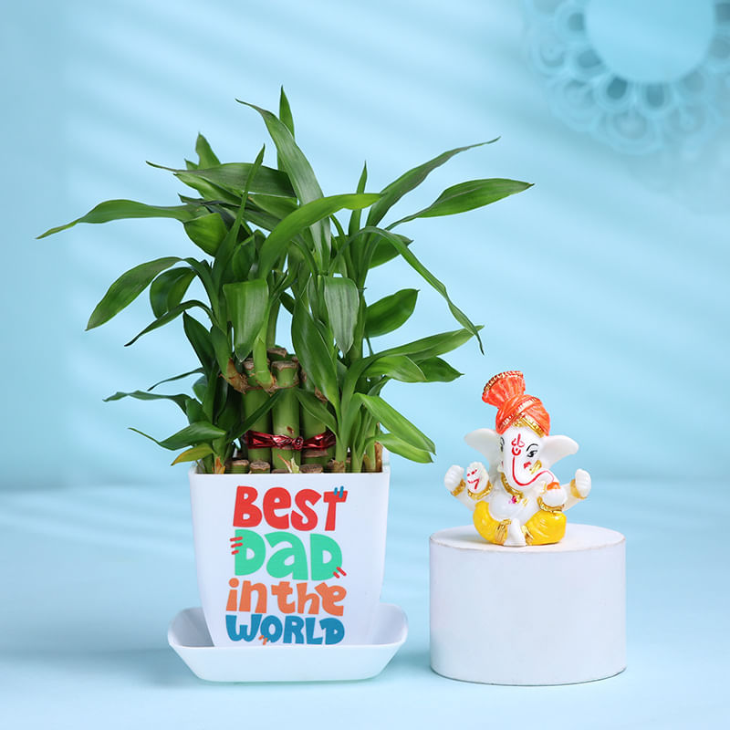 Bamboo Plant N Ganesha Idol Combo For Dad