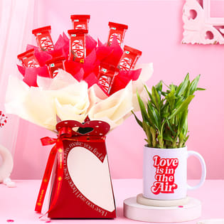 Bamboo Plant N Kitkat Bouquet Combo