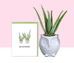 Plants and Greeting Cards