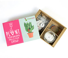 Self Growing Plants Kits