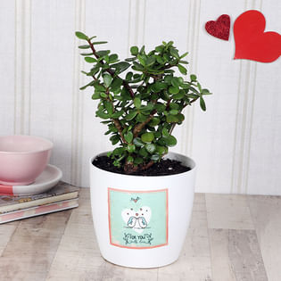 Be My Jade This Time