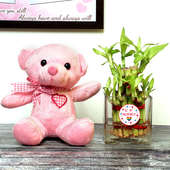 Valentine Day Teddy With 2 Layer Lucky Bamboo
