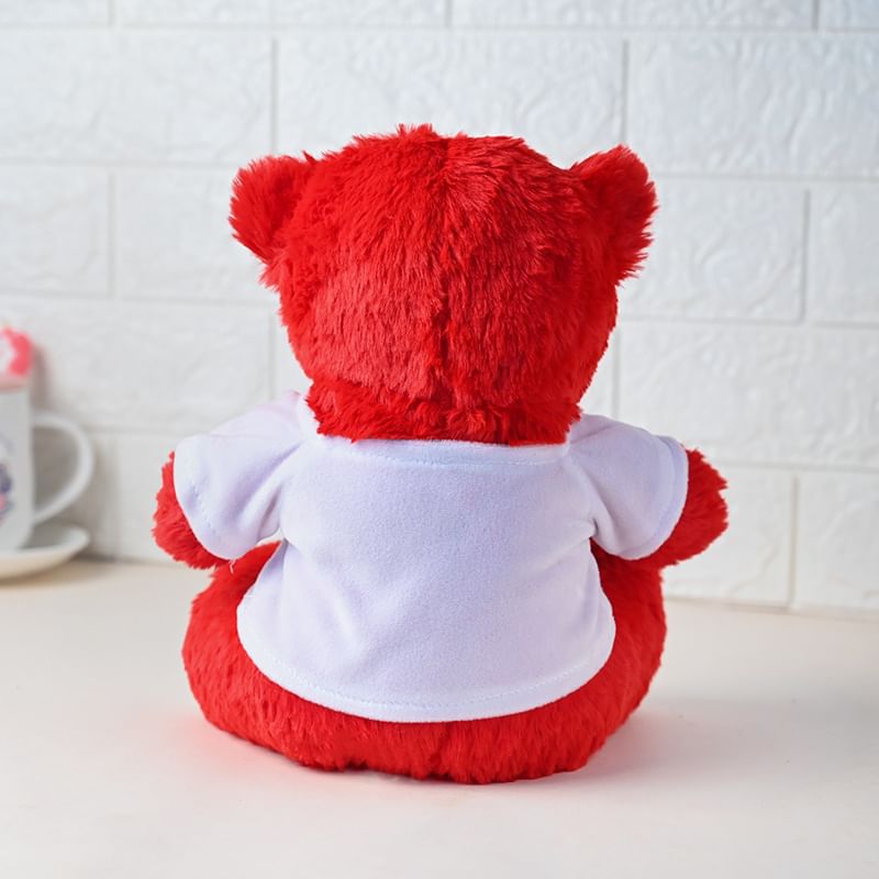  Be My Valentine Teddy Medium 10 Inch for Teddy Day