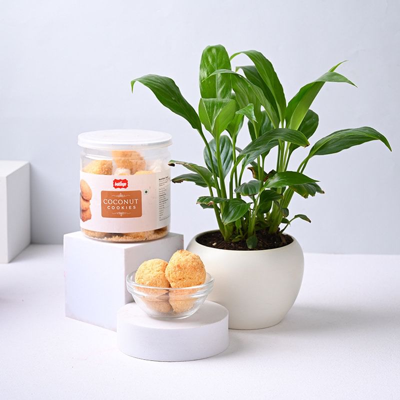 Product Image Video