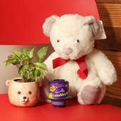 Beary Good Combo - Foliage Plant Indoor in Teddy Face Vase with 12 Inch Teddy and Dairy Milk Lickables