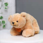 Soft Toy - Polo Bear