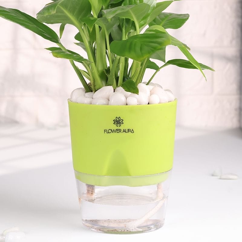 Product Image Video