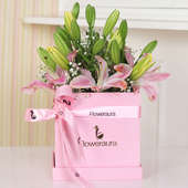 Beautifying Lilies Box
