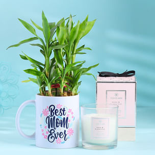 Best Mom Ever Bamboo Plant with Candle