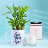 Best Mom Ever Bamboo Plant with Candle