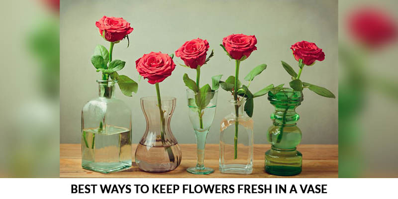 5 Best Ways To Keep Flowers Fresh In A Vase