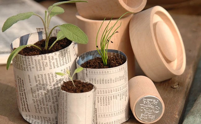 7 Best Ways To Reduce Plastic Waste In Your Garden