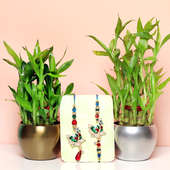 Good Luck Indoor Plant with Orchid Metal Vase and Set of Bhaiya Bhabhi Rakhi