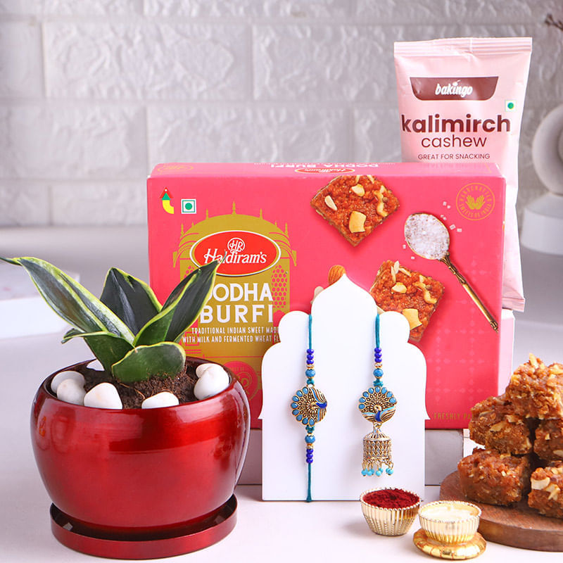 Bhai Bhabhi Peack Rakhi With Milt Plant N Treats