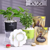 Bhai Bhabhi Rakhis With Chocos Jade N Money Plants