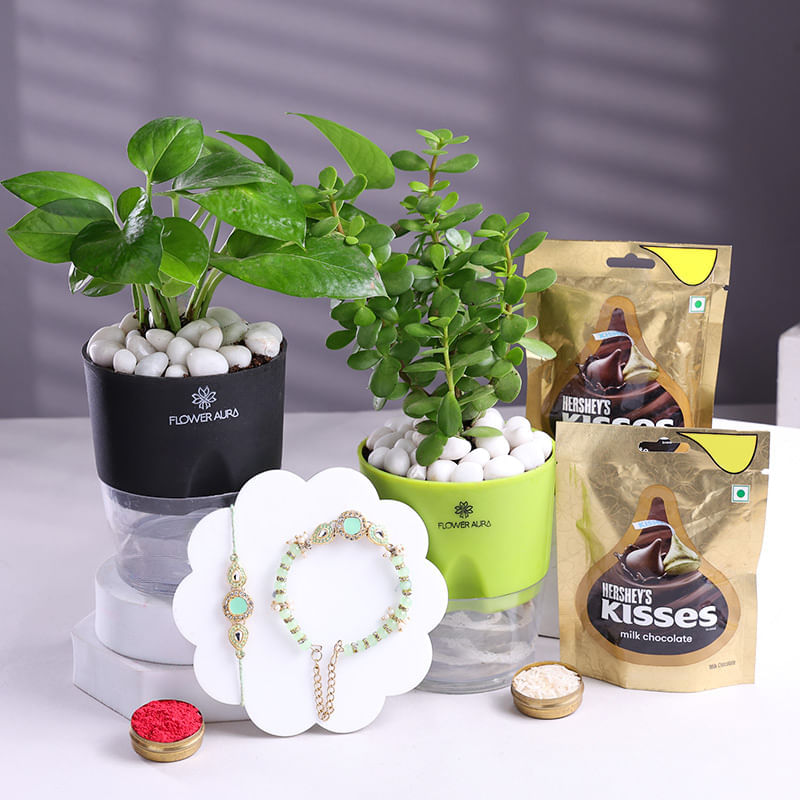Product Image Video