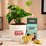 Bhai Dooj Plants