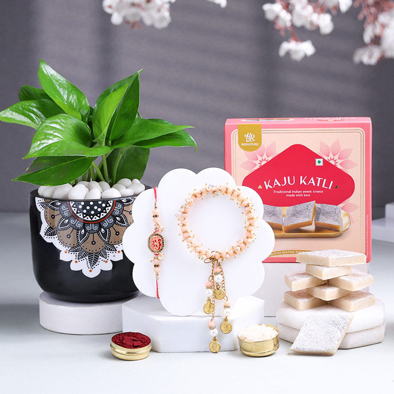 Bhaiya Bhabhi Rakhi With Money Plant N Kaju Katli