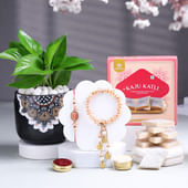 Bhaiya Bhabhi Rakhi With Money Plant N Kaju Katli