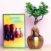 Ficus Microcarpa Bonsai Plant and Card Combo for Dad